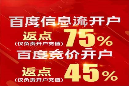 百度推广返点攻略：成功案例分享与启示